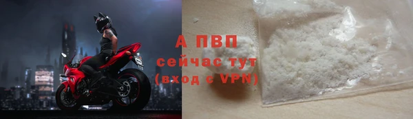PSILOCYBIN Аркадак