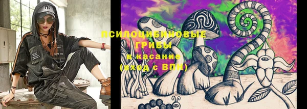 PSILOCYBIN Аркадак