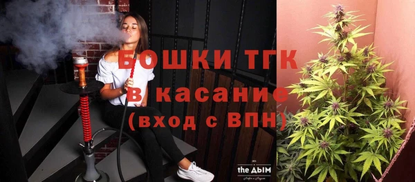 PSILOCYBIN Аркадак